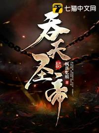 吞天圣帝 作者 枫落忆痕